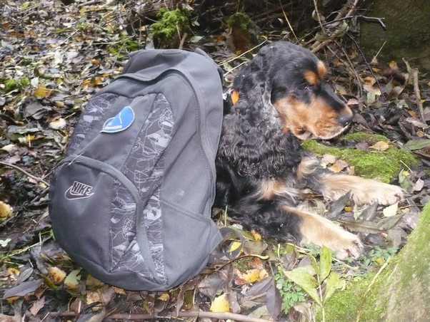 Konopiste_8.11.2009 (5).JPG